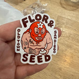 Luchador Magnets
